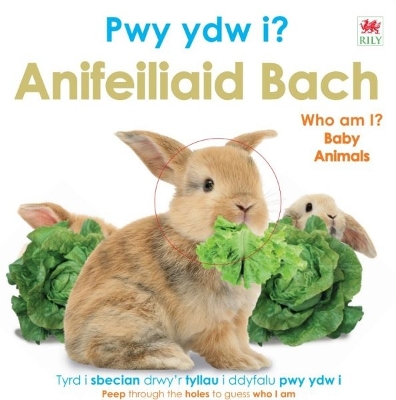 Pwy Ydw i? Anifeiliaid Bach / Who Am I? Baby Animals - DK, and Hunter, Megan Angharad (Translated by)