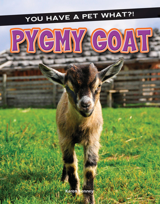 Pygmy Goat - Kenney, Karen