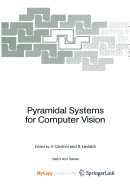 Pyramidal systems for computer vision