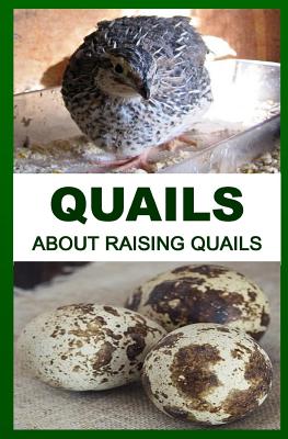 Quails: About Raising Quails - Okumu, Francis