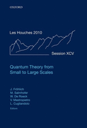Quantum Theory from Small to Large Scales: Lecture Notes of the Les Houches Summer School: Volume 95, August 2010