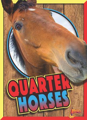 Quarter Horses - Noll, Elizabeth