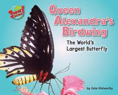 Queen Alexandra Birdwing: The World's Largest Butterfly