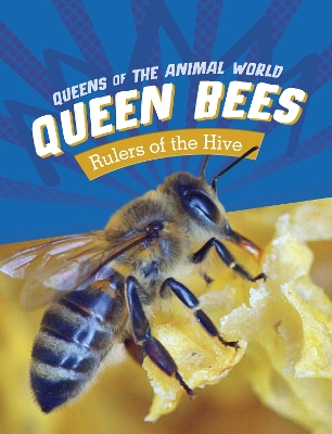 Queen Bees: Rulers of the Hive - Sang, Maivboon