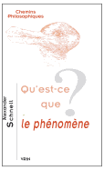 Qu'est-Ce Que Le Phenomene? - Schnell, Alexander