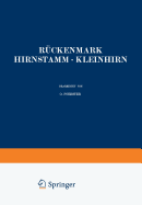 Rckenmark Hirnstamm  Kleinhirn