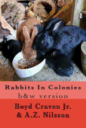 Rabbits In Colonies: Grayscale