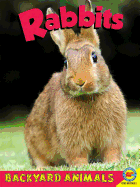 Rabbits with Code