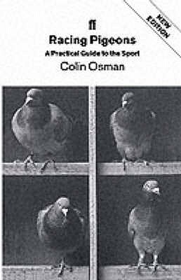 Racing Pigeons - Osman, Colin