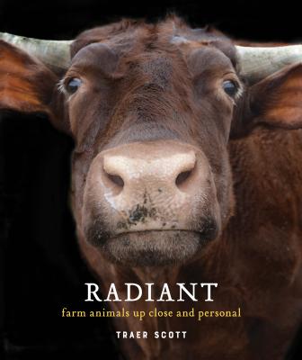 Radiant: Farm Animals Up Close and Personal (Farm Animal Photography Book) - Scott, Traer (Photographer)