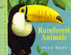 Rainforest Animals - 