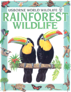 Rainforest Wildlife