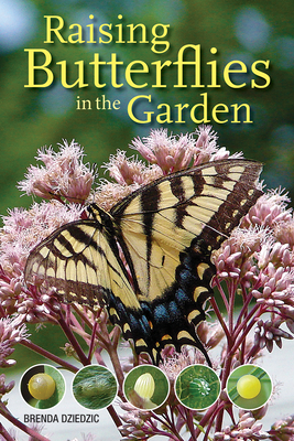 Raising Butterflies in the Garden - Dziedzic, Brenda