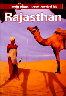 Rajasthan: A Travel Survival Kit