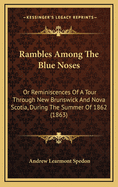 Rambles Among The Blue Noses: Or Reminiscences Of A Tour Through New Brunswick And Nova Scotia, During The Summer Of 1862 (1863)