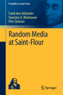 Random Media at Saint-Flour