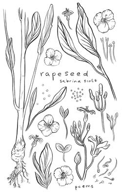 Rapeseed: Poetry and Writing About Life After Rape - Scott, Sabrina