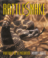 Rattlesnake: Portrait of a Predator