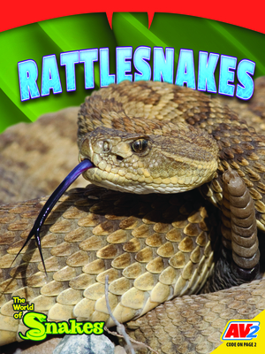 Rattlesnakes - Coup?, Jessica