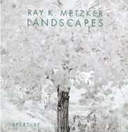 Ray K. Metzker: Landscapes