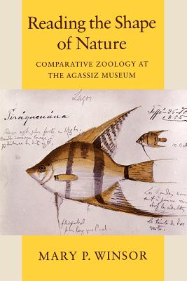 Reading the Shape of Nature: Comparative Zoology at the Agassiz Museum - Winsor, Mary P