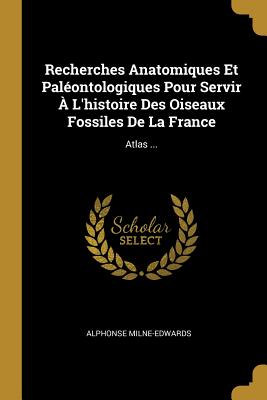 Recherches Anatomiques Et Palontologiques Pour Servir  L'histoire Des Oiseaux Fossiles De La France: Atlas ... - Milne-Edwards, Alphonse