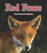 Red Foxes: Nocturnal Predators