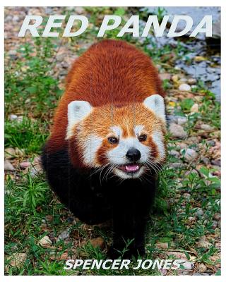 Red Panda: Learn About Red Pandas-Amazing Pictures & Fun Facts - Jones, Spencer