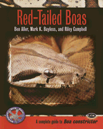 Red-Tailed Boas: A Complete Guide to Boa Constrictor