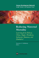 Reducing Maternal Mortality: Learning from Bolivia, China, Egypt, Honduras, Indonesia, Jamaica, and Zimbabwe