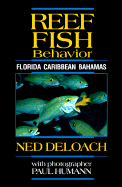 Reef Fish Behavior: Florida Caribbean Bahamas