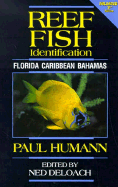 Reef Fish Identification: Florida, Caribbean and Bahamas