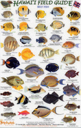Reef Fish: Small Fish v. 1