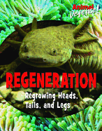 Regeneration: Regrowing Heads, Tails, and Legs