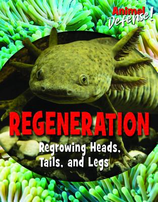 Regeneration: Regrowing Heads, Tails, and Legs - Hurt, Avery Elizabeth, and Mitchell, Susan K
