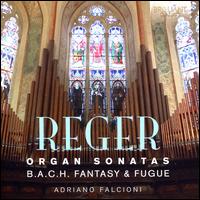 Reger: Organ Sonatas; B.A.C.H. Fantasy & Fugue - Adriano Falcioni (organ)