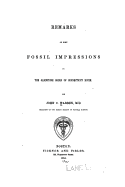 Remarks on Some Fossil Impressions in the Sandstone Rocks of Connecticut River