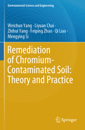 Remediation of Chromium-Contaminated Soil: Theory and Practice