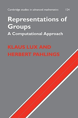 Representations of Groups: A Computational Approach - Lux, Klaus, and Pahlings, Herbert