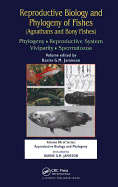 Reproductive Biology and Phylogeny of Fishes (Agnathans and Bony Fishes): Phylogeny, Reproductive System, Viviparity, Spermatozoa