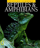 Reptiles & Amphibians: A Science Workbook for Ages 6-8