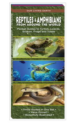 Reptiles & Amphibians from Around the World: Pocket Guides to Turtles, Lizards, Snakes, Frogs and Toads - Corwin, Jeff, and Waterford Press