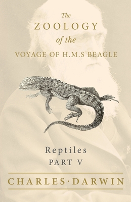 Reptiles - Part V - The Zoology of the Voyage of H.M.S Beagle; Under the Command of Captain Fitzroy - During the Years 1832 to 1836 - Darwin, Charles, and Bell, Thomas