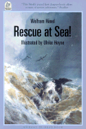 Rescue at Sea!
