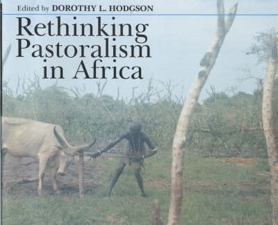 Rethinking Pastoralism in Africa: Gender, Culture, & the Myth of the Patriarchal Pastoralist - Hodgson, Dorothy L, Professor (Editor)