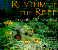 Rhythm of the Reef: A Day in the Life of the Coral Reef