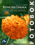 Ringblomma: ver 100 HD-bilder