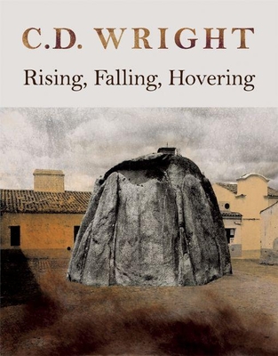 Rising, Falling, Hovering - Wright, C D