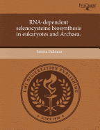 RNA-Dependent Selenocysteine Biosynthesis in Eukaryotes and Archaea