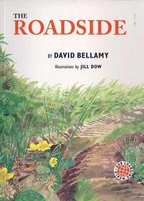 Roadside - Bellamy, David